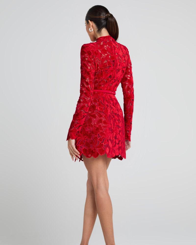 ROSELORE | LACE DRESS