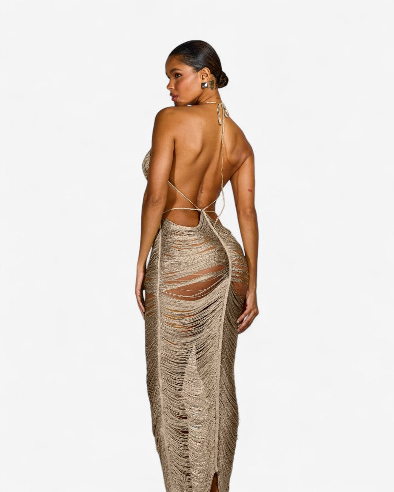 EDNY | FRINGED METALLIC DRESS