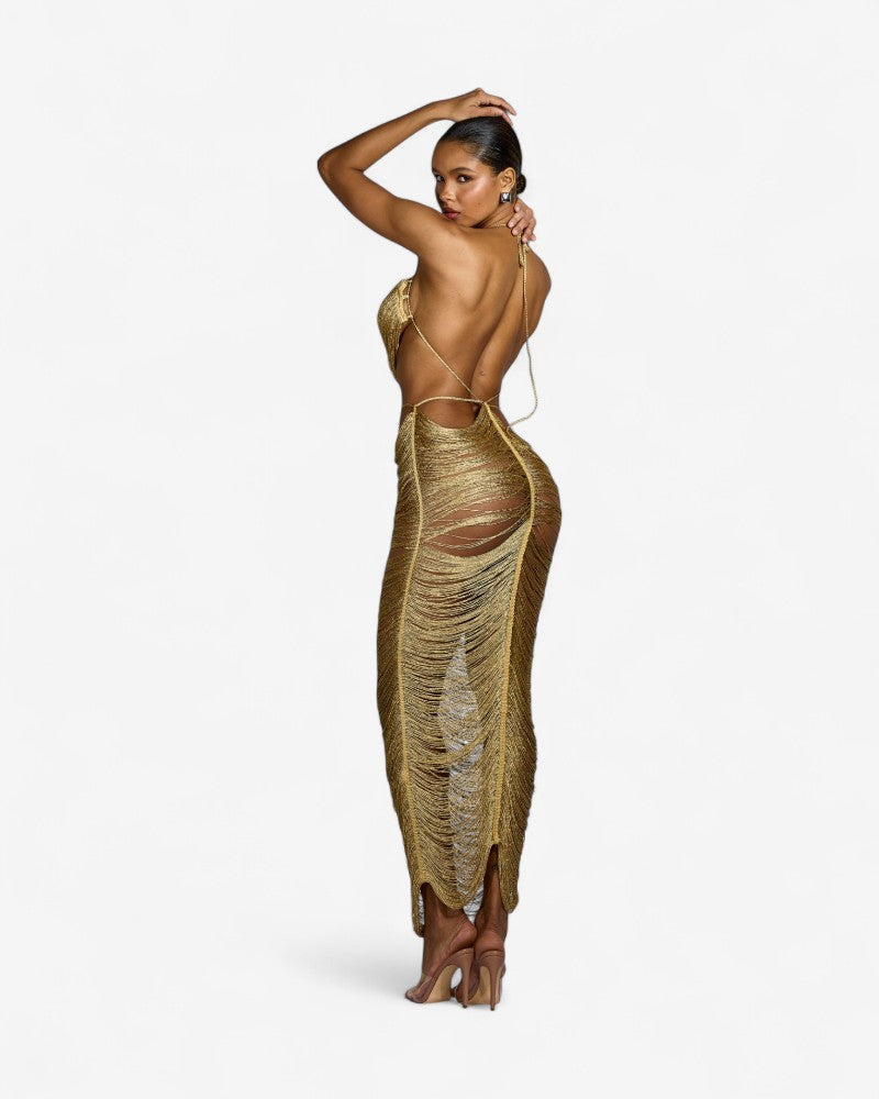 EDNY | FRINGED METALLIC DRESS