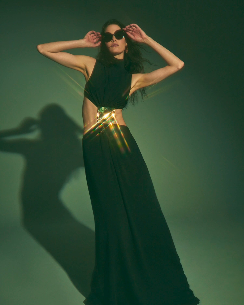 VIVELEI | METALLIC WAIST PANEL DRESS